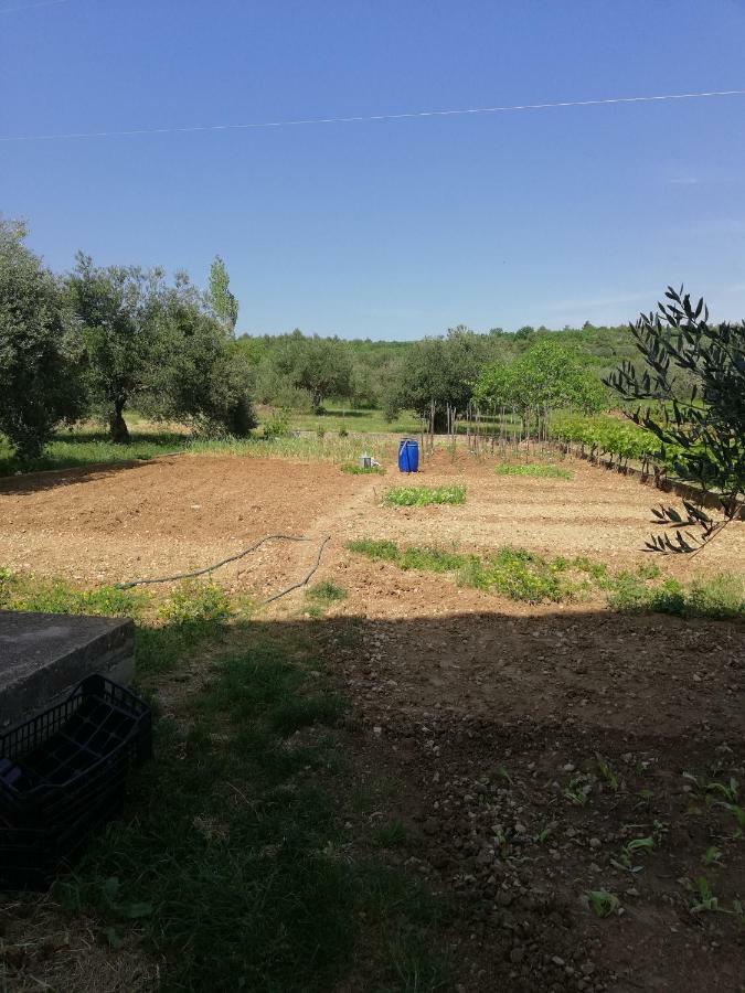 Apartmani Sladic Skradin Exterior foto